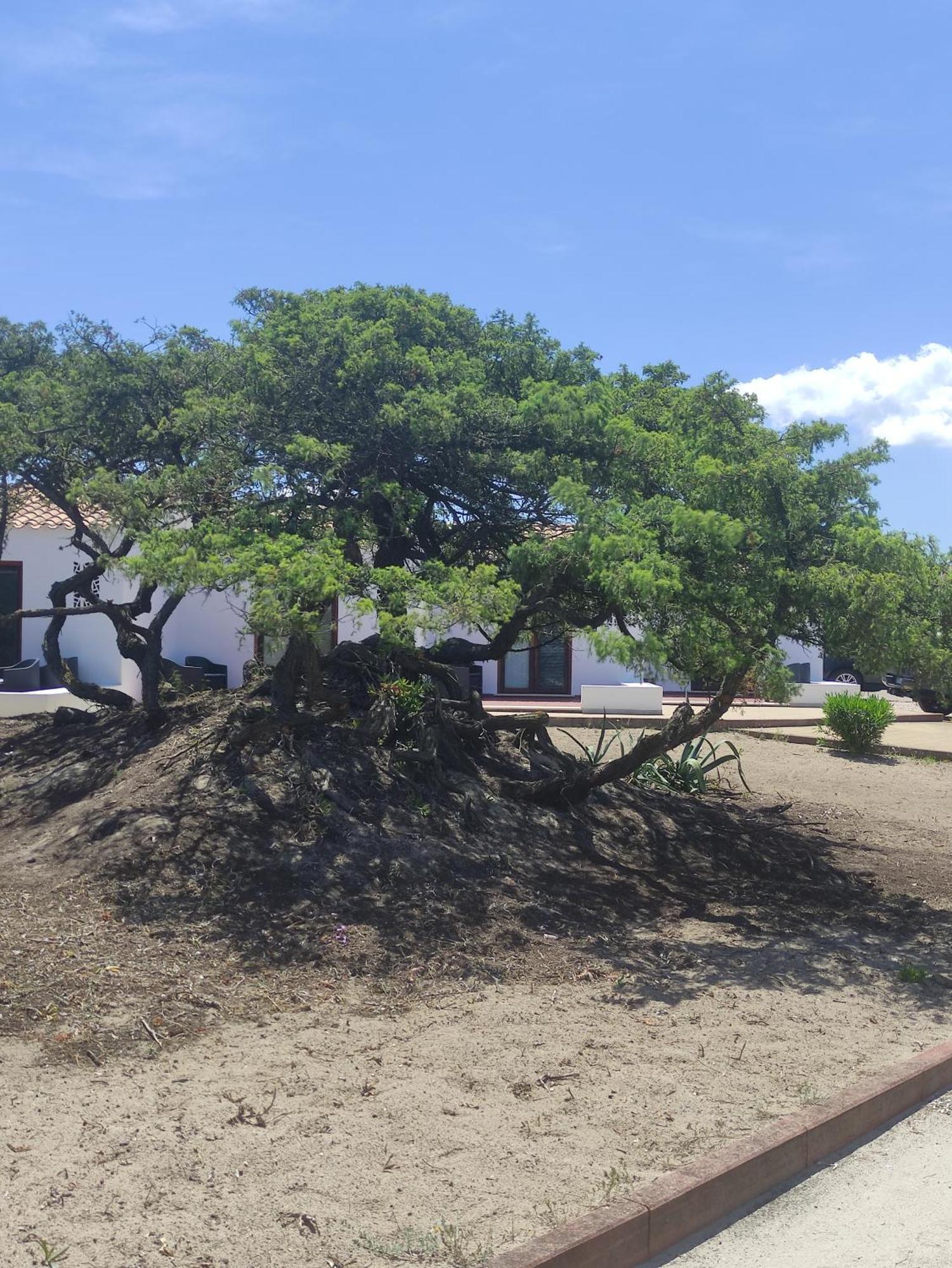 Q Resort Marina di Sorso ภายนอก รูปภาพ